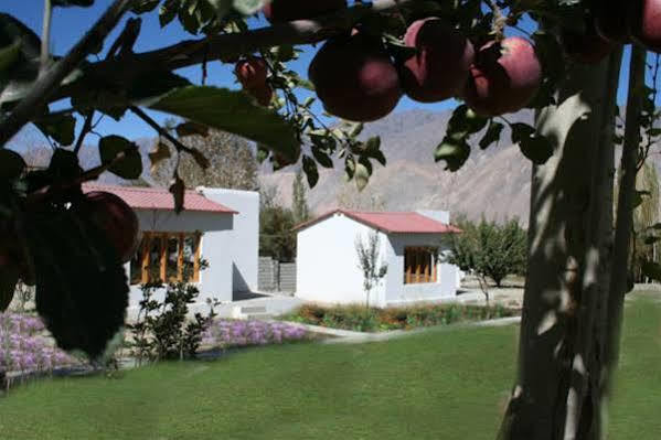 Himalayan Eco Resort Hundar Zewnętrze zdjęcie