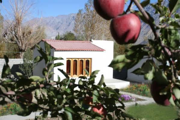 Himalayan Eco Resort Hundar Zewnętrze zdjęcie