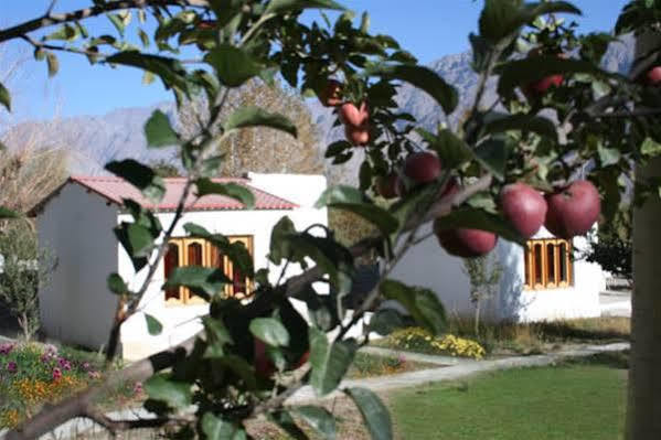 Himalayan Eco Resort Hundar Zewnętrze zdjęcie